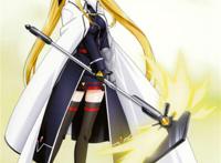 魔法少女奈叶strikers [菲特·t·哈洛温]