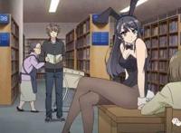 樱岛麻衣／兔女郎学姐