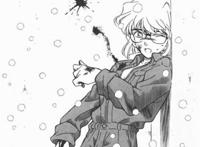 我爱的宫野志保 灰原哀