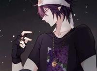 凹凸世界雷狮(同人)壁纸