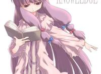 幻想乡乐园化计划 帕秋莉