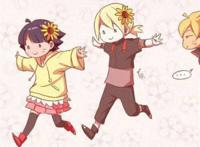 火影忍者向日葵 火影忍者向日葵