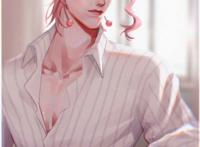 jojo的奇妙冒险花京院典明