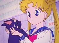 美少女战士 [月野兔]