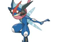 小智–甲贺忍蛙