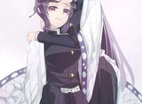 鬼灭之刃蝴蝶忍 鬼灭之刃 蝴蝶忍 蝴蝶香奈惠