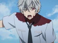 秋濑或 未来日记