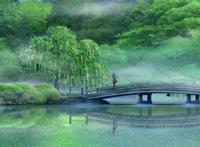 言叶之庭 高清壁纸