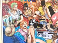 ワンピース 复制原画 イラスト 额付き one piece
