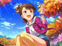 偶像大师百万现场剧场时光 双海亚美