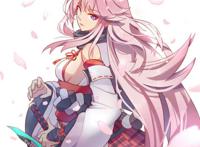 八重樱的唯美图片