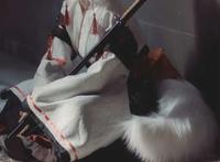 犬走椛cosplay：@毛纸毛摄影：@鱼啊鱼啊鱼啊鱼