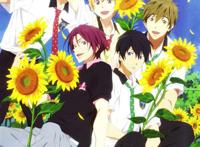 free 男子游泳部