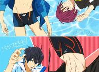 free!七濑遥 松冈凛