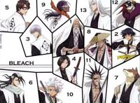 《死神》护廷十三队