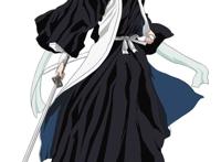 护庭十三队六番队队长.四大家族朽木家的第二十八代当家.