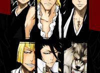 死神十刃&护廷十三队