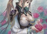 王元姬真三国无双6原画