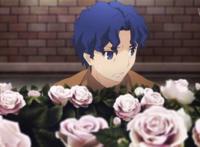 【fate】间桐慎二