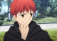 【fate】卫宫士郎