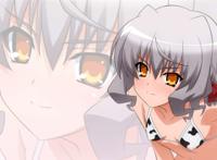 《暗夜魔法使》 《暗夜魔法使》