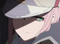 亲爱的弗兰克斯!