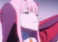 亲爱的弗兰克斯!