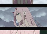 亲爱的弗兰克斯!