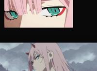 亲爱的弗兰克斯!