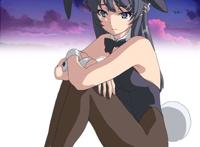 《青春ブタ野郎はバニーガール先辈の梦を见ない》