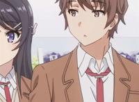 【动漫情头】青春猪头少年不会梦到兔女郎学姐