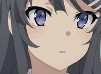 青春猪头少年不会梦到兔女郎学姐!