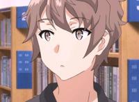 《青春猪头少年不会梦到兔女郎学姐》