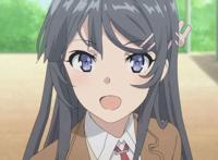 兔女郎学姐,樱岛麻衣高清壁纸