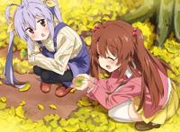 【动漫美图】宫内莲华(喵帕斯～)