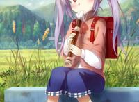 喵帕斯～(宫内莲华美图篇)