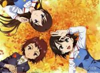 人工归纳而来的日本后宫动漫