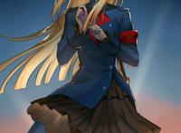 fate壁纸 美图 莱妮丝&格蕾专辑