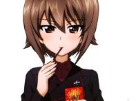 《少女与战车》版权绘补完计划  西住真穗