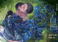 小白杨广播剧海报