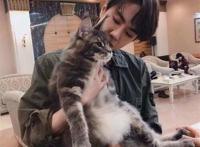 耽美腐漫文之MONO猫弄路人王一博