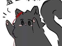 《魔道祖师》忘羡曦瑶猫咪头像