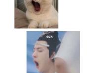 肖战各种mono猫弄耽美腐漫文之王一博射在肖战里面了  肖战各种mono猫弄耽美腐漫文之王一博射在肖战里面了