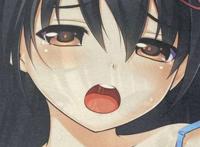 たぬきそふと 稲垣纱衣抱き枕カバー