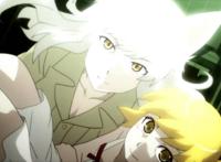 黑羽川《猫物语(白)》