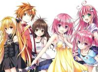 后宫动漫的男主到底哪点吸引到女孩子们