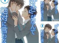 「好き」だなんて绝対に言わない