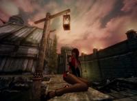 上古卷轴5 黑丝mod更新 长腿高跟黑丝女王风妹纸