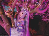 Cosplay福利/Re:从零开始的异世界生活爱蜜莉雅白丝萝莉Cos图片