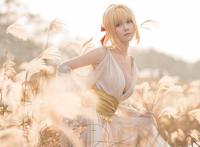 Cosplay福利/Fate/Extella 尼禄 Cn:板儿